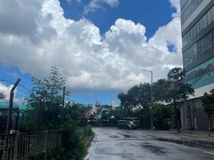 -九龙公园