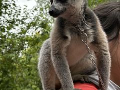 -水上乐园·欢乐世界