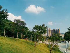 -白石龙音乐公园