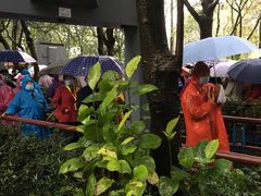 -韶山毛泽东同志故居