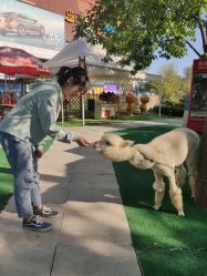 -萌宠亲子动物乐园(槐房万达店)