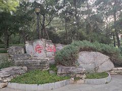 -玲珑塔公园
