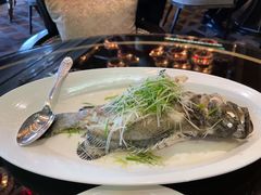 老虎斑-北京四季酒店·采逸轩