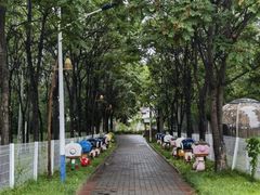 -北京金海湖景区