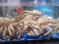 -徐记海鲜·宴会(大唐西市|丰庆店)