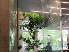 -Infica Coffee