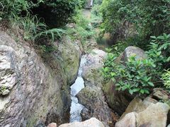 -东莞市大岭山森林公园