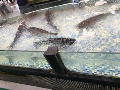 -森谷美食公园(杨行店)