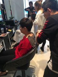 点击看大图 -京世沙龙