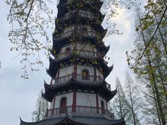 -桃花岛公园
