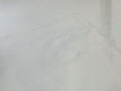 -上海徐汇瑞峰酒店