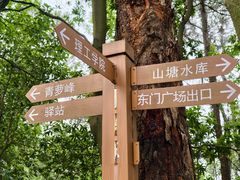 -滴水岩森林公园