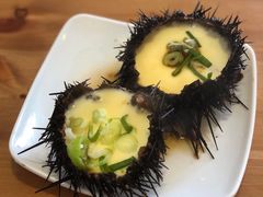 海胆蒸蛋-海胆小馆(春柳店)