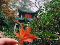 -岳麓山风景名胜区