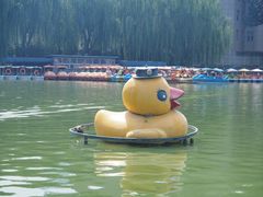 -团结湖公园