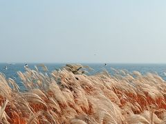 -南戴河旅游度假区