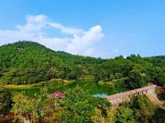 -广州白江湖森林公园