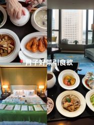 -臻康乃馨月子中心(凯宾斯基店)