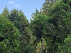 -杭州植物园