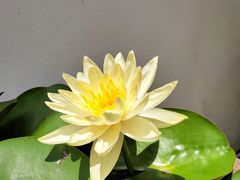 -三喜有食(集美店)