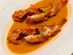 酱汁烧虎头鱼-福1015(愚园路店)