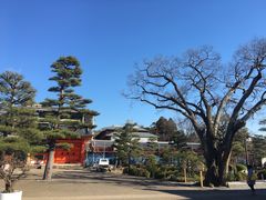 -京都御所