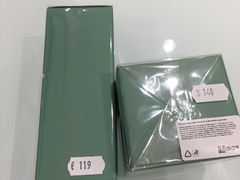 -谢列梅捷沃国际机场