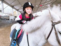 -上海爱久忠马术俱乐部(龙吴路店)