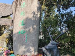 -溱湖国家湿地公园