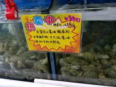 台山黄油濑尿虾-蚝专家(北滘店)