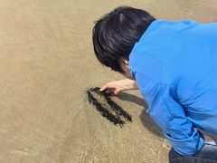 -青澳湾北回归线广场
