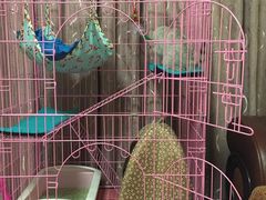 -仁华宠物医院(青羊店)