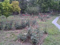 -北京小汤山医院体检中心