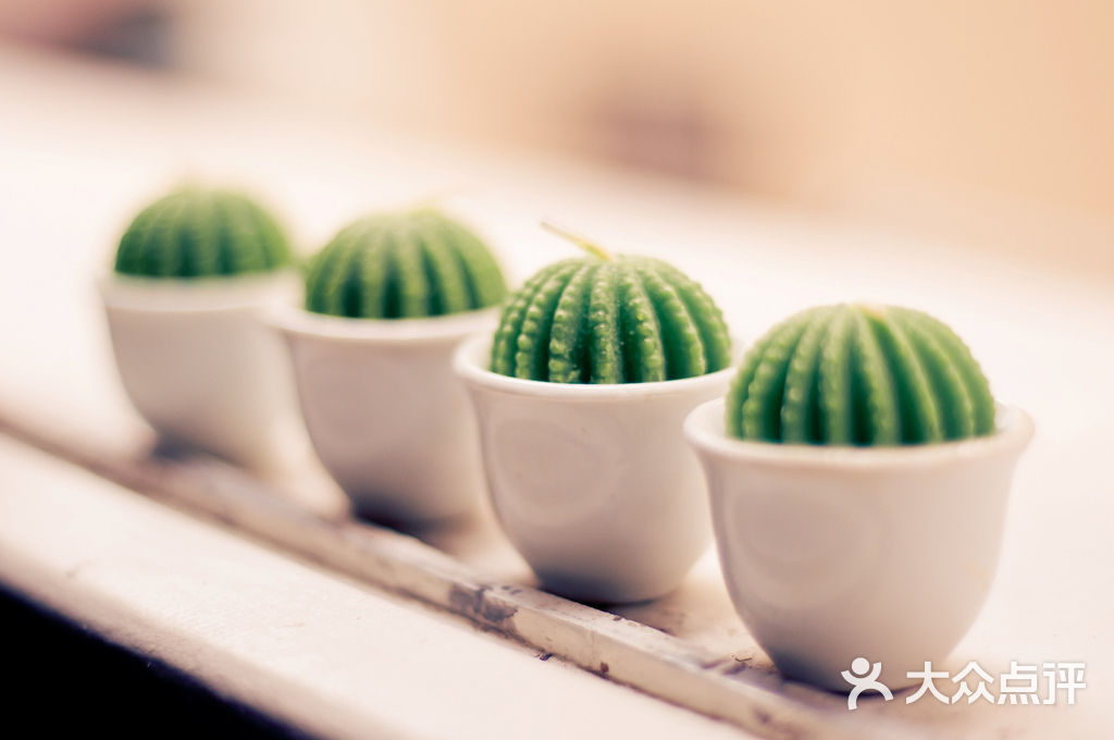 bc1b79ed9b0883832e2e213c_老用户新会员