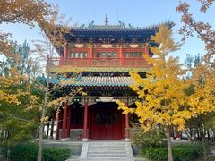 -迎泽公园