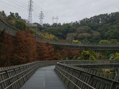 -福道