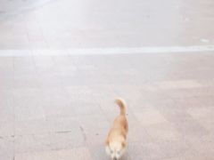 -南屏步行街
