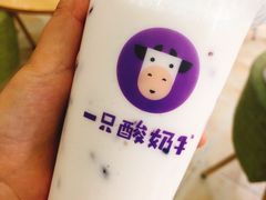 -一只酸奶牛(八一路店)