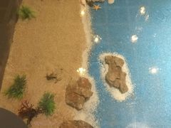 -九九私厨(石溪店)