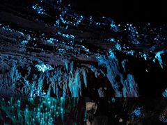 -怀托摩萤火虫洞