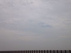 -碧海金沙