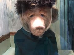 -济州岛泰迪熊博物馆