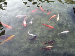 花园酒店-广州花园酒店