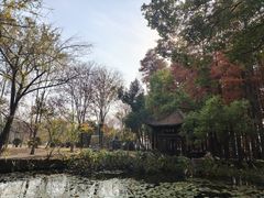 -东湖落雁景区