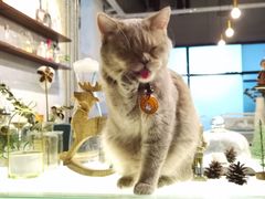 -MIMO CAFE(沙头角店)