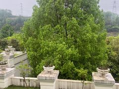 -重庆长寿碧桂园凤悦凤凰酒店