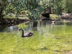 -北京麋鹿生态实验中心