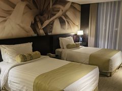 -国家会议中心大酒店