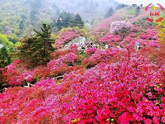 -木兰云雾山