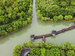 -广富林郊野公园